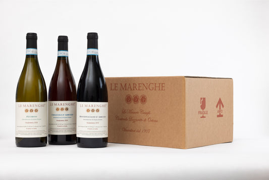 Degustazione di Pecorino, Cerasuolo e Montepulciano 2019 - 6 Bottiglie