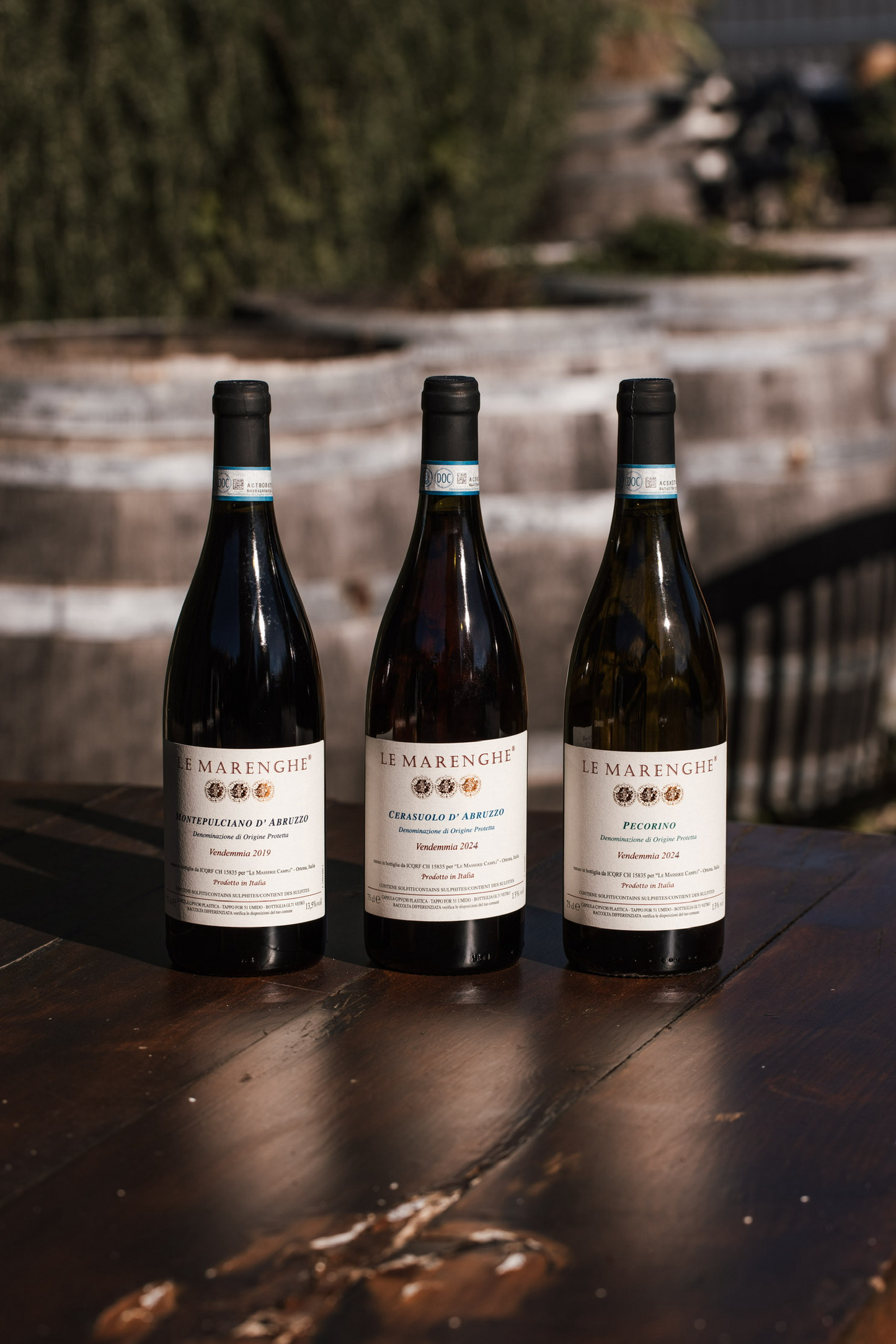 Degustazione di Pecorino, Cerasuolo e Montepulciano 2019 - 6 Bottiglie