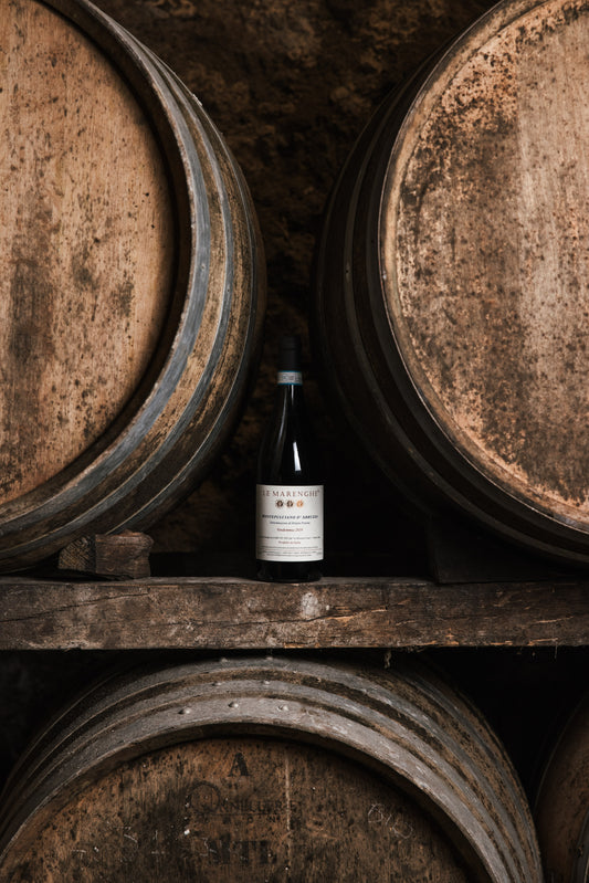 Montepulciano d'Abruzzo DOP 2019